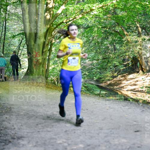 28.09.2025 - 33. Volkslauf durch das schöne Alstertal Dr. Thomas Lammeyer http://msf.ph/oto/8958216 28.09.2025 10:50:53 Laufen  meine-sportfotos.de