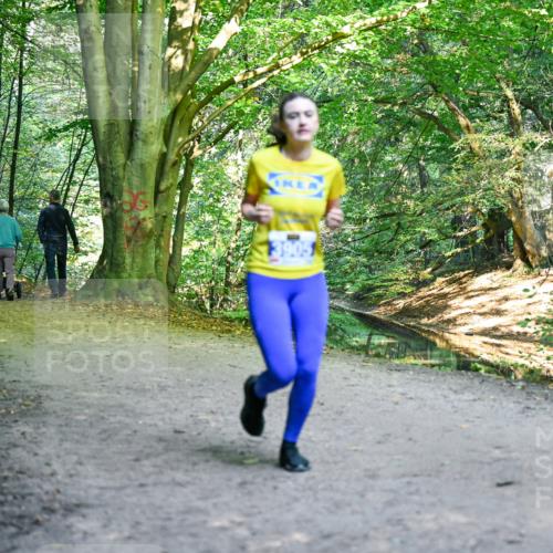 28.09.2025 - 33. Volkslauf durch das schöne Alstertal Dr. Thomas Lammeyer http://msf.ph/oto/8958217 28.09.2025 10:50:53 Laufen 3905 meine-sportfotos.de
