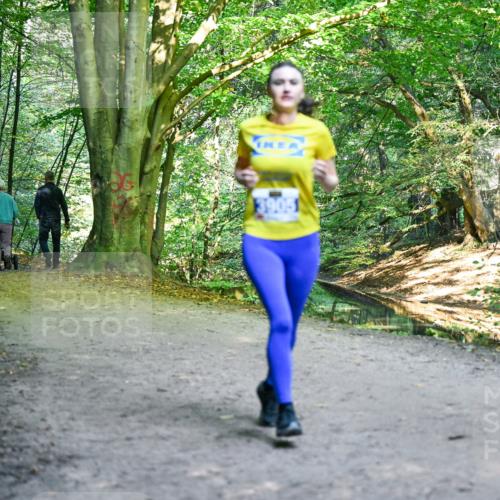 28.09.2025 - 33. Volkslauf durch das schöne Alstertal Dr. Thomas Lammeyer http://msf.ph/oto/8958219 28.09.2025 10:50:53 Laufen 3012, 3905 meine-sportfotos.de