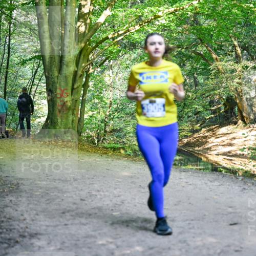 28.09.2025 - 33. Volkslauf durch das schöne Alstertal Dr. Thomas Lammeyer http://msf.ph/oto/8958220 28.09.2025 10:50:53 Laufen  meine-sportfotos.de