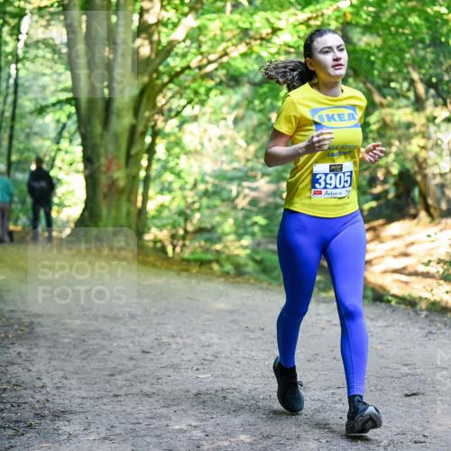 28.09.2025 - 33. Volkslauf durch das schöne Alstertal Dr. Thomas Lammeyer http://msf.ph/oto/8958221 28.09.2025 10:50:53 Laufen 7, 2, 0, 3905 meine-sportfotos.de