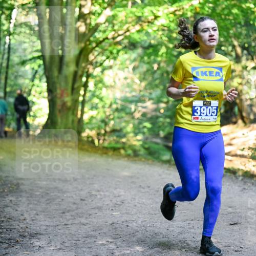 28.09.2025 - 33. Volkslauf durch das schöne Alstertal Dr. Thomas Lammeyer http://msf.ph/oto/8958222 28.09.2025 10:50:53 Laufen 3905 meine-sportfotos.de