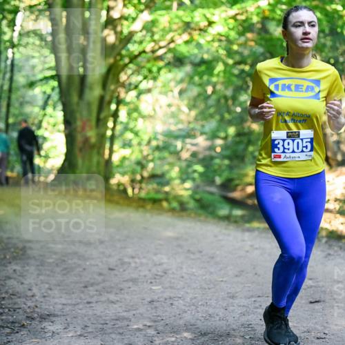 28.09.2025 - 33. Volkslauf durch das schöne Alstertal Dr. Thomas Lammeyer http://msf.ph/oto/8958224 28.09.2025 10:50:54 Laufen 3905 meine-sportfotos.de