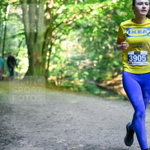 28.09.2025 - 33. Volkslauf durch das schöne Alstertal Dr. Thomas Lammeyer http://msf.ph/oto/8958225 28.09.2025 10:50:54 Laufen 3905 meine-sportfotos.de