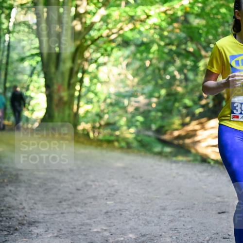 28.09.2025 - 33. Volkslauf durch das schöne Alstertal Dr. Thomas Lammeyer http://msf.ph/oto/8958226 28.09.2025 10:50:54 Laufen 3905 meine-sportfotos.de