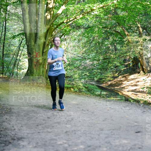 28.09.2025 - 33. Volkslauf durch das schöne Alstertal Dr. Thomas Lammeyer http://msf.ph/oto/8958227 28.09.2025 10:50:58 Laufen  meine-sportfotos.de