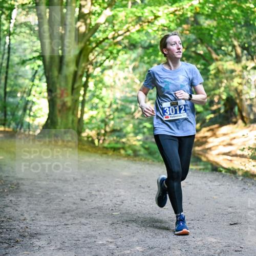 28.09.2025 - 33. Volkslauf durch das schöne Alstertal Dr. Thomas Lammeyer http://msf.ph/oto/8958237 28.09.2025 10:51:00 Laufen 3012 meine-sportfotos.de