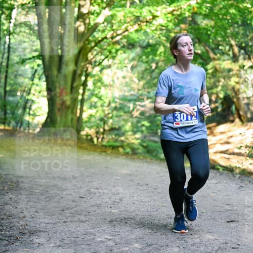 28.09.2025 - 33. Volkslauf durch das schöne Alstertal Dr. Thomas Lammeyer http://msf.ph/oto/8958238 28.09.2025 10:51:00 Laufen 3012 meine-sportfotos.de