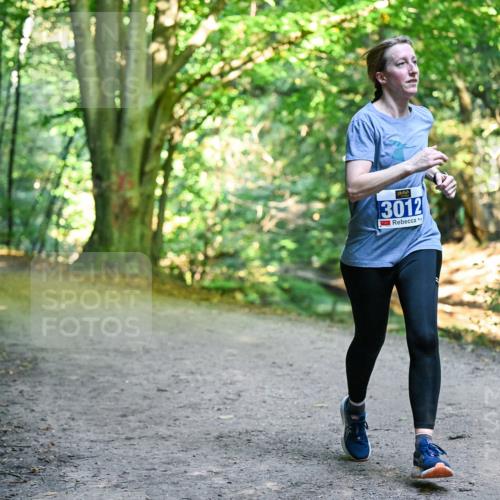 28.09.2025 - 33. Volkslauf durch das schöne Alstertal Dr. Thomas Lammeyer http://msf.ph/oto/8958240 28.09.2025 10:51:00 Laufen 3012 meine-sportfotos.de