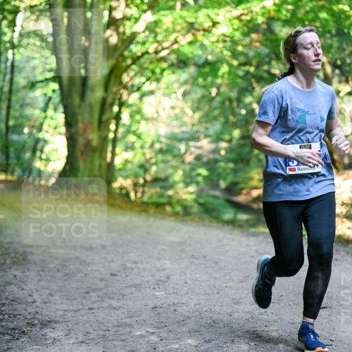 28.09.2025 - 33. Volkslauf durch das schöne Alstertal Dr. Thomas Lammeyer http://msf.ph/oto/8958241 28.09.2025 10:51:00 Laufen  meine-sportfotos.de