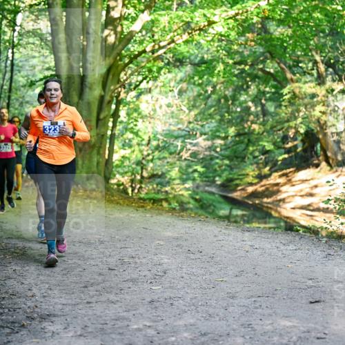 28.09.2025 - 33. Volkslauf durch das schöne Alstertal Dr. Thomas Lammeyer http://msf.ph/oto/8958242 28.09.2025 10:51:07 Laufen 323 meine-sportfotos.de