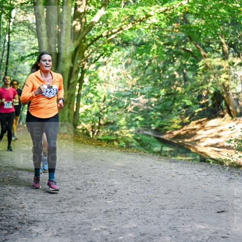 28.09.2025 - 33. Volkslauf durch das schöne Alstertal Dr. Thomas Lammeyer http://msf.ph/oto/8958244 28.09.2025 10:51:07 Laufen 3236 meine-sportfotos.de