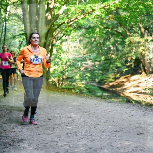 28.09.2025 - 33. Volkslauf durch das schöne Alstertal Dr. Thomas Lammeyer http://msf.ph/oto/8958247 28.09.2025 10:51:07 Laufen 3329, 3236 meine-sportfotos.de