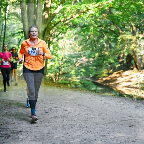 28.09.2025 - 33. Volkslauf durch das schöne Alstertal Dr. Thomas Lammeyer http://msf.ph/oto/8958248 28.09.2025 10:51:07 Laufen 323 meine-sportfotos.de