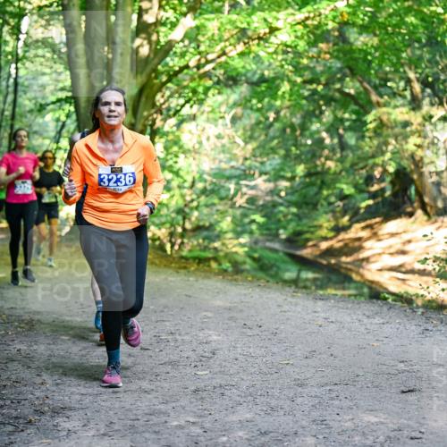 28.09.2025 - 33. Volkslauf durch das schöne Alstertal Dr. Thomas Lammeyer http://msf.ph/oto/8958249 28.09.2025 10:51:08 Laufen 3236 meine-sportfotos.de