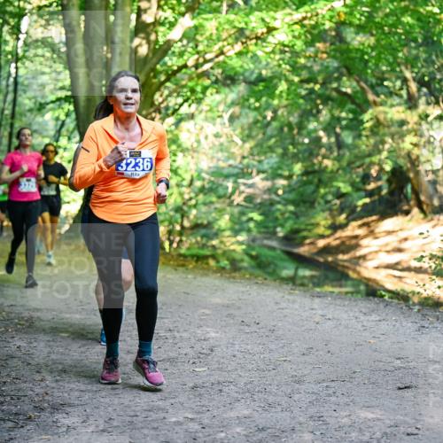 28.09.2025 - 33. Volkslauf durch das schöne Alstertal Dr. Thomas Lammeyer http://msf.ph/oto/8958250 28.09.2025 10:51:08 Laufen 13236 meine-sportfotos.de