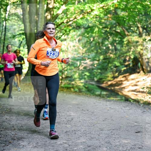 28.09.2025 - 33. Volkslauf durch das schöne Alstertal Dr. Thomas Lammeyer http://msf.ph/oto/8958251 28.09.2025 10:51:08 Laufen 3236 meine-sportfotos.de