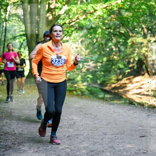 28.09.2025 - 33. Volkslauf durch das schöne Alstertal Dr. Thomas Lammeyer http://msf.ph/oto/8958253 28.09.2025 10:51:08 Laufen 3236 meine-sportfotos.de