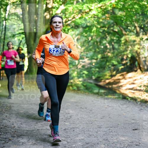 28.09.2025 - 33. Volkslauf durch das schöne Alstertal Dr. Thomas Lammeyer http://msf.ph/oto/8958254 28.09.2025 10:51:08 Laufen 3236 meine-sportfotos.de
