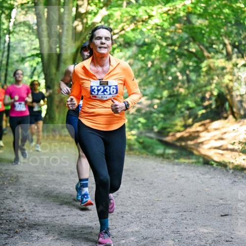 28.09.2025 - 33. Volkslauf durch das schöne Alstertal Dr. Thomas Lammeyer http://msf.ph/oto/8958255 28.09.2025 10:51:08 Laufen 3236 meine-sportfotos.de