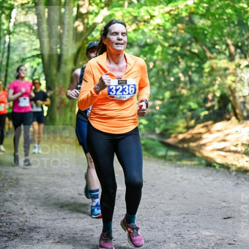 28.09.2025 - 33. Volkslauf durch das schöne Alstertal Dr. Thomas Lammeyer http://msf.ph/oto/8958256 28.09.2025 10:51:08 Laufen 13236 meine-sportfotos.de