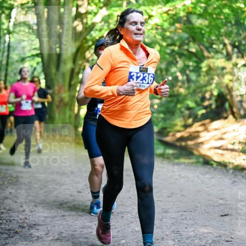 28.09.2025 - 33. Volkslauf durch das schöne Alstertal Dr. Thomas Lammeyer http://msf.ph/oto/8958257 28.09.2025 10:51:08 Laufen 13236 meine-sportfotos.de