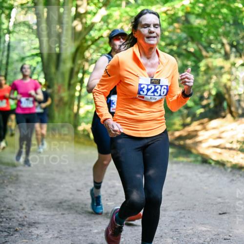 28.09.2025 - 33. Volkslauf durch das schöne Alstertal Dr. Thomas Lammeyer http://msf.ph/oto/8958258 28.09.2025 10:51:09 Laufen 3236 meine-sportfotos.de