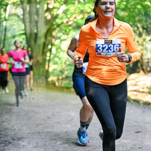 28.09.2025 - 33. Volkslauf durch das schöne Alstertal Dr. Thomas Lammeyer http://msf.ph/oto/8958260 28.09.2025 10:51:09 Laufen 3236 meine-sportfotos.de