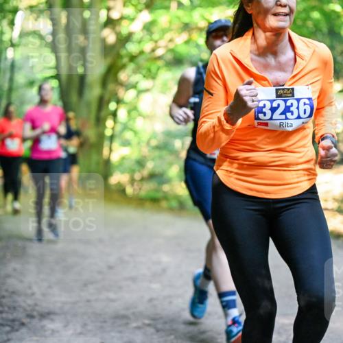 28.09.2025 - 33. Volkslauf durch das schöne Alstertal Dr. Thomas Lammeyer http://msf.ph/oto/8958261 28.09.2025 10:51:09 Laufen 3236 meine-sportfotos.de
