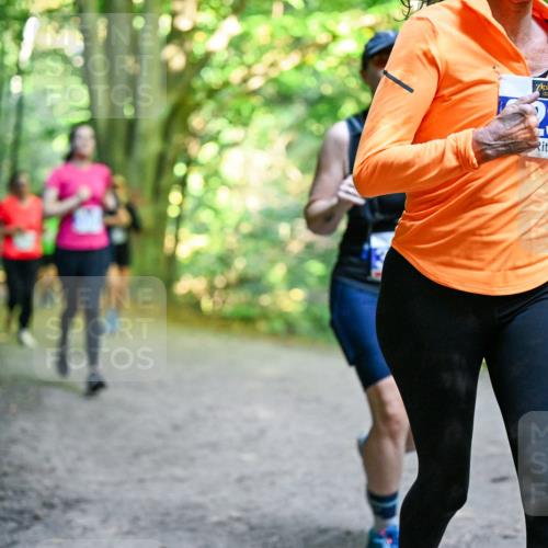 28.09.2025 - 33. Volkslauf durch das schöne Alstertal Dr. Thomas Lammeyer http://msf.ph/oto/8958262 28.09.2025 10:51:09 Laufen 236 meine-sportfotos.de