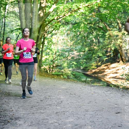 28.09.2025 - 33. Volkslauf durch das schöne Alstertal Dr. Thomas Lammeyer http://msf.ph/oto/8958265 28.09.2025 10:51:10 Laufen 3006, 3329, 30 meine-sportfotos.de