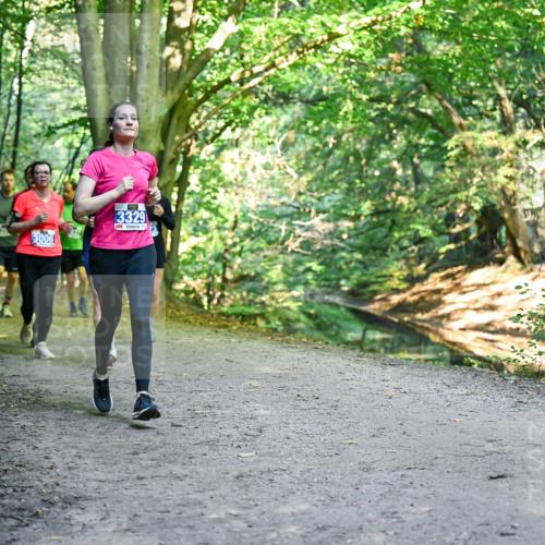 28.09.2025 - 33. Volkslauf durch das schöne Alstertal Dr. Thomas Lammeyer http://msf.ph/oto/8958266 28.09.2025 10:51:10 Laufen 3329 meine-sportfotos.de