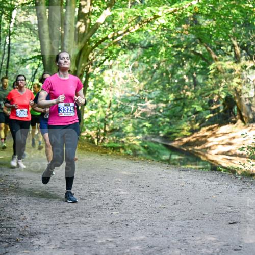 28.09.2025 - 33. Volkslauf durch das schöne Alstertal Dr. Thomas Lammeyer http://msf.ph/oto/8958267 28.09.2025 10:51:10 Laufen 3329 meine-sportfotos.de