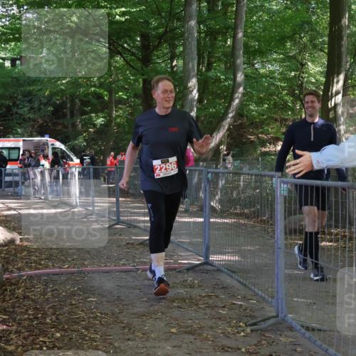 28.09.2025 - 33. Volkslauf durch das schöne Alstertal Strokosch-Dieckow http://msf.ph/oto/8958270 28.09.2025 13:13:59 Ziel 2296 meine-sportfotos.de