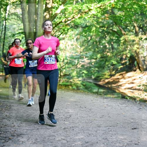28.09.2025 - 33. Volkslauf durch das schöne Alstertal Dr. Thomas Lammeyer http://msf.ph/oto/8958272 28.09.2025 10:51:11 Laufen 3006, 3022, 13329 meine-sportfotos.de