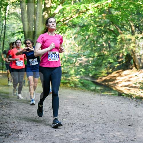 28.09.2025 - 33. Volkslauf durch das schöne Alstertal Dr. Thomas Lammeyer http://msf.ph/oto/8958273 28.09.2025 10:51:11 Laufen 3006, 3022, 13329 meine-sportfotos.de