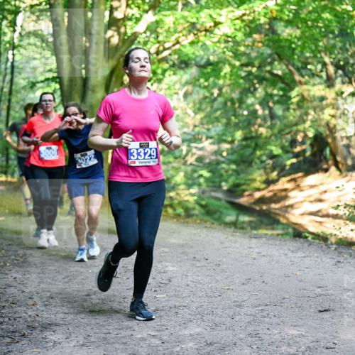 28.09.2025 - 33. Volkslauf durch das schöne Alstertal Dr. Thomas Lammeyer http://msf.ph/oto/8958274 28.09.2025 10:51:11 Laufen 3006, 3022, 3329 meine-sportfotos.de