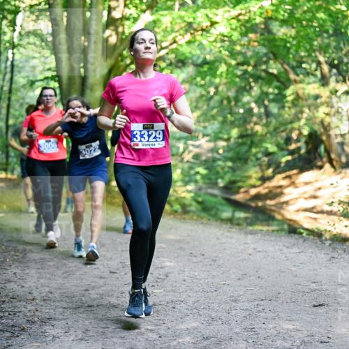28.09.2025 - 33. Volkslauf durch das schöne Alstertal Dr. Thomas Lammeyer http://msf.ph/oto/8958275 28.09.2025 10:51:11 Laufen 3006, 3022, 3329 meine-sportfotos.de