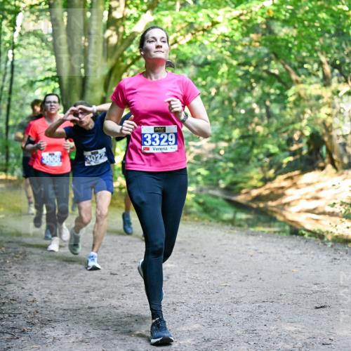 28.09.2025 - 33. Volkslauf durch das schöne Alstertal Dr. Thomas Lammeyer http://msf.ph/oto/8958276 28.09.2025 10:51:11 Laufen 3006, 3329 meine-sportfotos.de