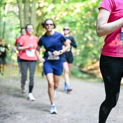 28.09.2025 - 33. Volkslauf durch das schöne Alstertal Dr. Thomas Lammeyer http://msf.ph/oto/8958283 28.09.2025 10:51:12 Laufen 3329 meine-sportfotos.de