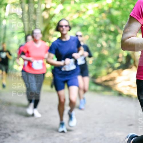 28.09.2025 - 33. Volkslauf durch das schöne Alstertal Dr. Thomas Lammeyer http://msf.ph/oto/8958284 28.09.2025 10:51:12 Laufen 13325 meine-sportfotos.de
