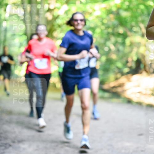 28.09.2025 - 33. Volkslauf durch das schöne Alstertal Dr. Thomas Lammeyer http://msf.ph/oto/8958285 28.09.2025 10:51:12 Laufen  meine-sportfotos.de