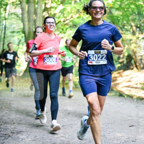 28.09.2025 - 33. Volkslauf durch das schöne Alstertal Dr. Thomas Lammeyer http://msf.ph/oto/8958287 28.09.2025 10:51:13 Laufen 3006, 3022, 1 meine-sportfotos.de