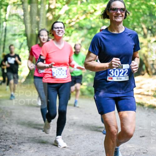 28.09.2025 - 33. Volkslauf durch das schöne Alstertal Dr. Thomas Lammeyer http://msf.ph/oto/8958289 28.09.2025 10:51:13 Laufen 3006, 3022 meine-sportfotos.de