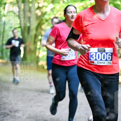 28.09.2025 - 33. Volkslauf durch das schöne Alstertal Dr. Thomas Lammeyer http://msf.ph/oto/8958295 28.09.2025 10:51:14 Laufen 3006, 302 meine-sportfotos.de
