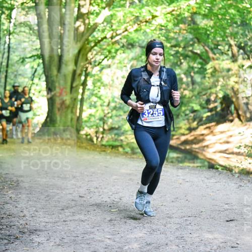28.09.2025 - 33. Volkslauf durch das schöne Alstertal Dr. Thomas Lammeyer http://msf.ph/oto/8958313 28.09.2025 10:51:18 Laufen 3255 meine-sportfotos.de
