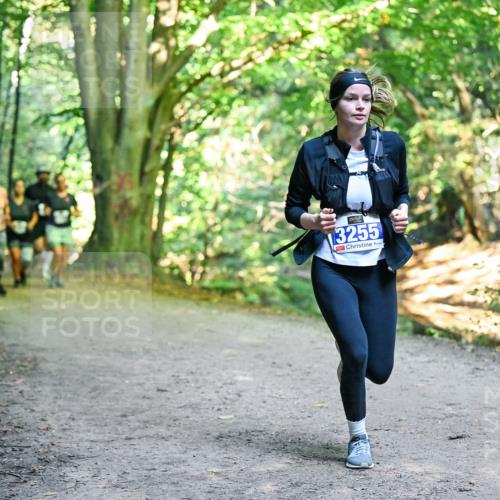 28.09.2025 - 33. Volkslauf durch das schöne Alstertal Dr. Thomas Lammeyer http://msf.ph/oto/8958316 28.09.2025 10:51:18 Laufen 13255 meine-sportfotos.de