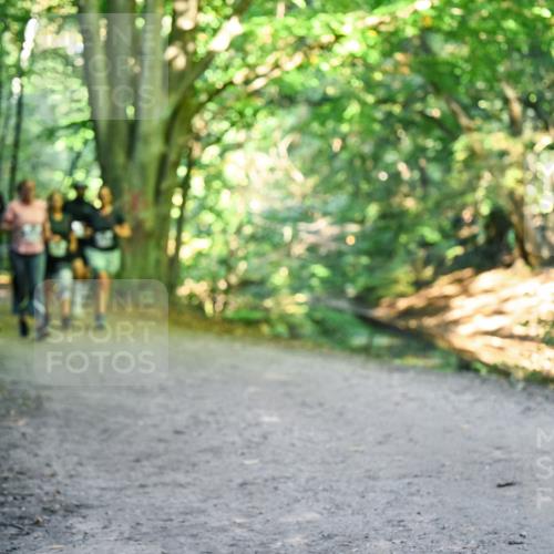 28.09.2025 - 33. Volkslauf durch das schöne Alstertal Dr. Thomas Lammeyer http://msf.ph/oto/8958322 28.09.2025 10:51:19 Laufen  meine-sportfotos.de