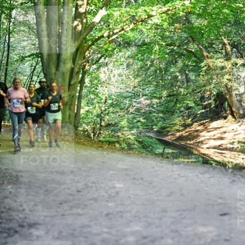 28.09.2025 - 33. Volkslauf durch das schöne Alstertal Dr. Thomas Lammeyer http://msf.ph/oto/8958324 28.09.2025 10:51:19 Laufen  meine-sportfotos.de