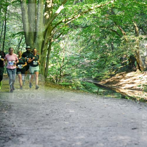 28.09.2025 - 33. Volkslauf durch das schöne Alstertal Dr. Thomas Lammeyer http://msf.ph/oto/8958326 28.09.2025 10:51:19 Laufen 3112, 314, 321, 3217 meine-sportfotos.de